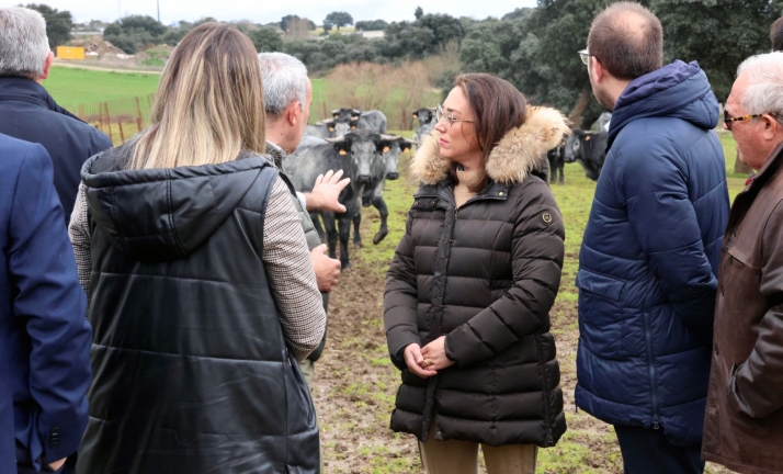 La Junta destaca el valor de las razas ganaderas autóctonas de la dehesa para impulsar el desarrollo rural de Castilla y León