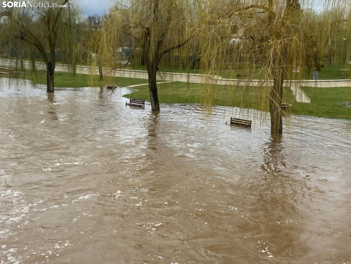 Se desborda el río Tera a su paso por Garray