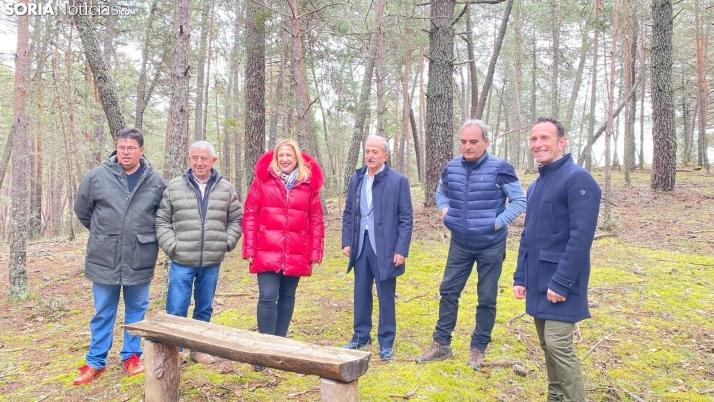 El uso terapéutico de los bosques, la apuesta de Pinares para potenciar el turismo