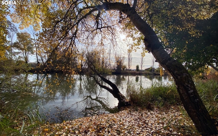 San Esteban avanza en su proyecto Aguas bravas 