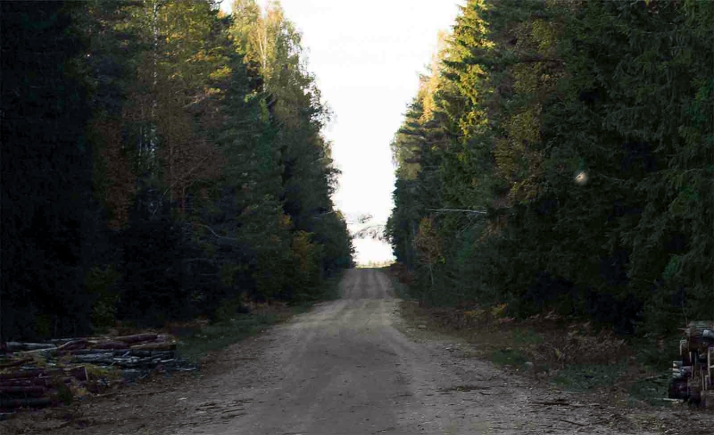 La Junta licita obras para mejorar dos pistas forestales en montes de Soria