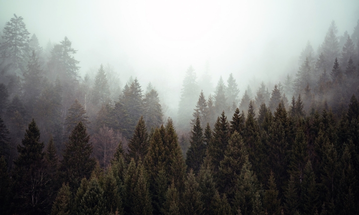 El iuFOR abre su sede en el Campus para celebrar el Día Internacional de los Bosques