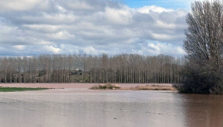 ASAJA Soria solicita que los remolacheros no se vean perjudicados en la Ayuda Agroambiental de Cultivos Agroindustriales Sostenibles