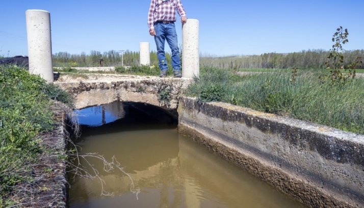 El Bocyl publica el proyecto de modernización del regadío en los canales de Ines y Eza con 142 propiedades afectadas