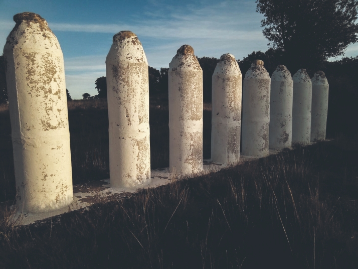 Ruta: el origen del asedio a Numancia