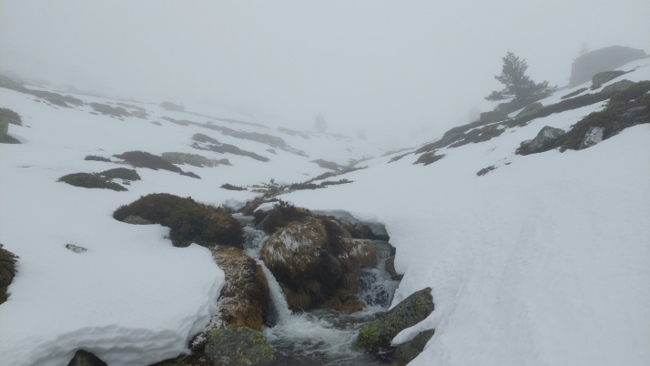 Pinares se vuelve polar a mediados de abril