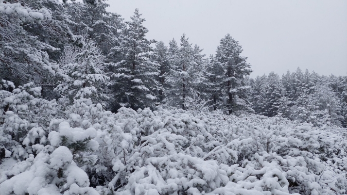 Soria regresa a la Navidad durante Semana Santa con esta impresionante nevada