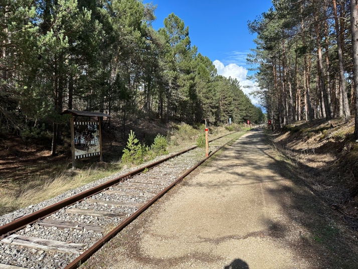 ¿Sabías que Soria triunfó en la gala de los Óscar?