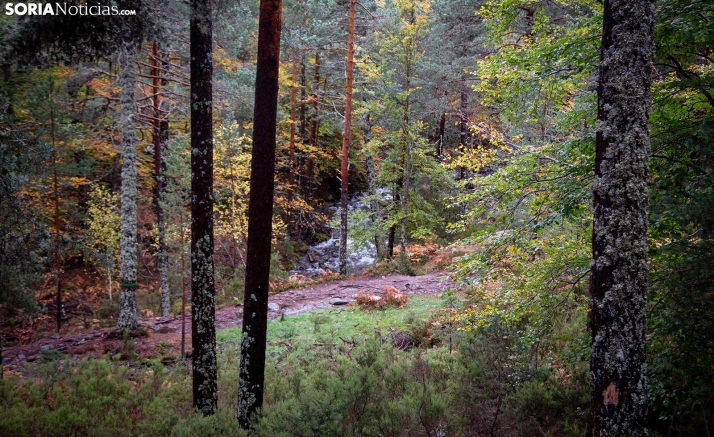 Cuidar la sostenibilidad desde municipios pequeños va a tener premio en Castilla y León