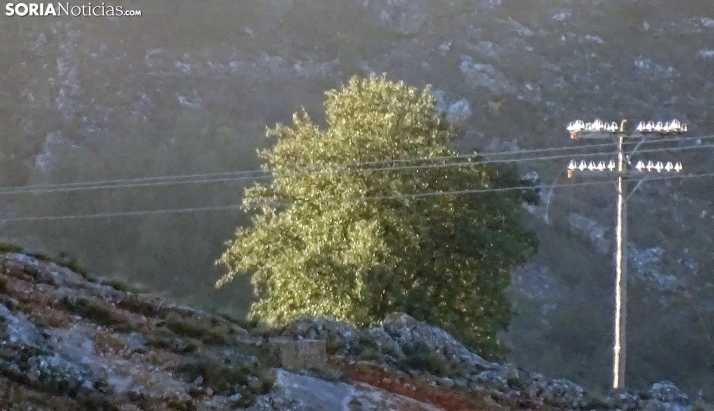 Un día soleado para celebrar Castilla y León en la provincia