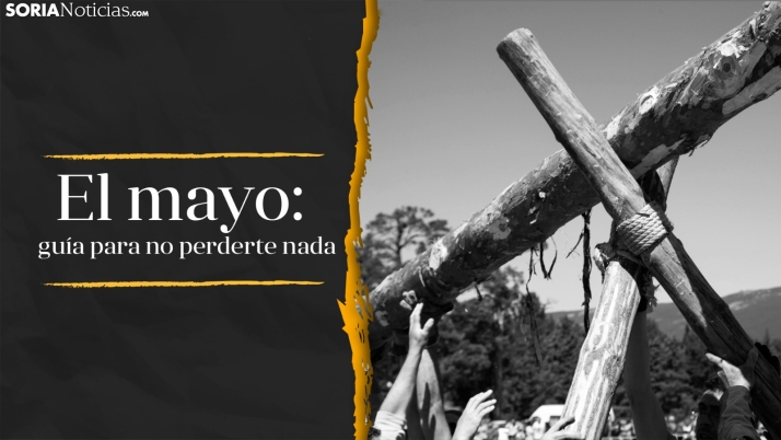 Guía práctica para la pingada del pino mayo