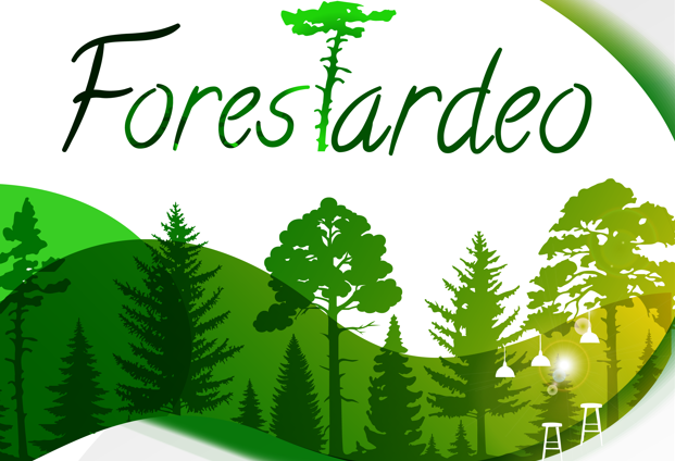 Soria inaugura el ForesTardeo: un afterwork para aprender sobre temas forestales en un ambiente informal