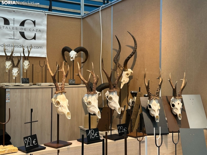 Galería | Almazán da el pistoletazo de salida a la Feria de Caza de Venalmazán