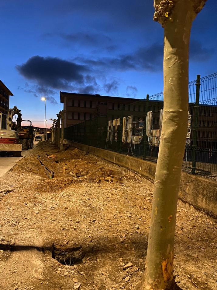 El PSOE de Ólvega carga contra la falsedad de las justificaciones del equipo de gobierno por el arranque de los plataneros