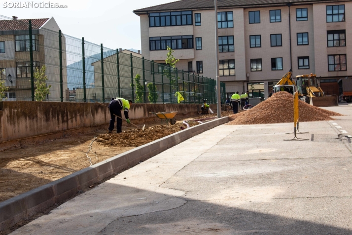La alcaldesa de Ólvega justifica la retirada de árboles del centro de la localidad