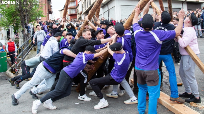 GALERÍA | Emoción y aplausos en la pingada del Mayo de San Leonardo de Yagüe