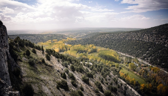 ASFOSO lanza el proyecto Reconecta, con herramientas para revitalizar actividades sostenibles en fincas forestales privadas