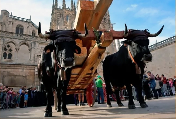 La Ruta Carreteril llegará a Sarnago el 14 de junio