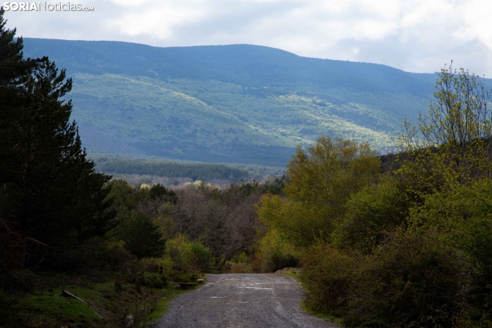 Mañana comienzan tres días de tregua con sol y ascenso térmico en Soria