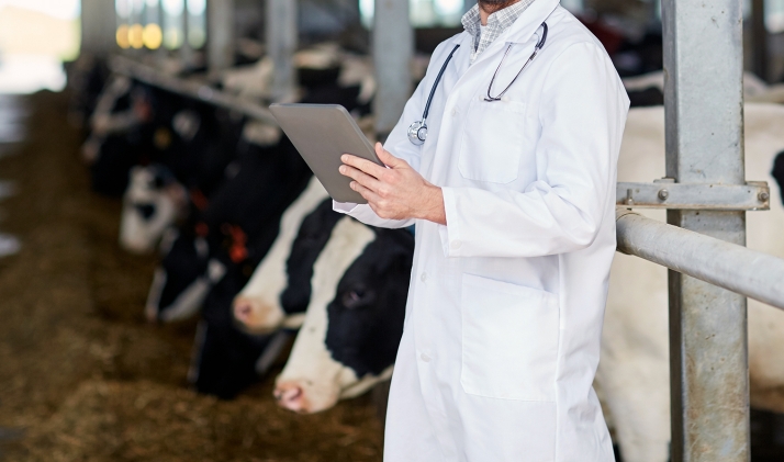 Veterinarios sorianos denuncian el grave impacto del Real Decreto 666/2023 sobre la profesión y su amenaza para la salud animal