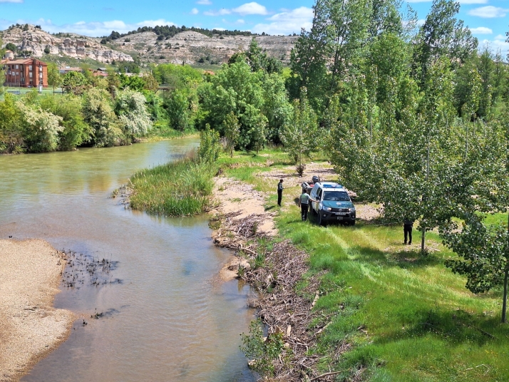 Búsqueda del jubilado desaparecido en Langa de Duero. 