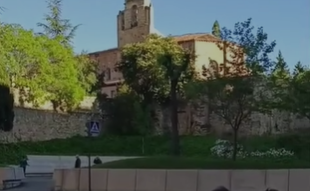 VÍDEO | ¿Qué hacen unos corzos en el centro de Soria?