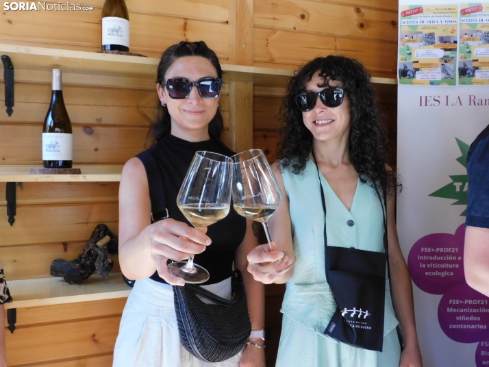 Fotos: Los mejores vinos de Soria se dan cita en San Esteban