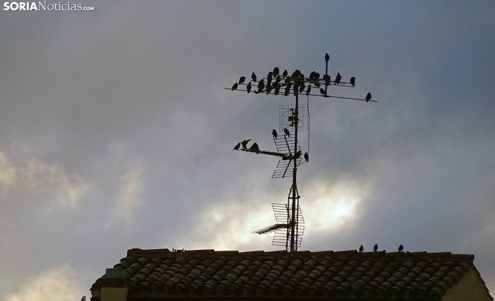 Domingo pasado por agua en Soria: se esperan chubascos, tormenta y posible granizo