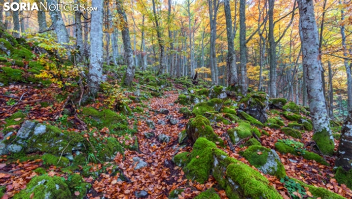 Cuatro rincones frescos en Soria para escapar del calor