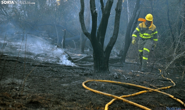 Extinguidos los dos incendios forestales que se han activado en la provincia de Soria en menos de una hora