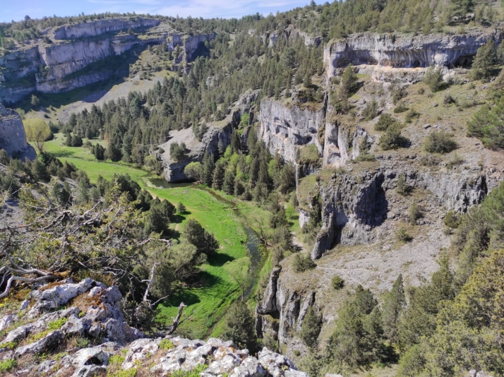 No solo hubo templarios en el Cañón del Río Lobos: los secretos del Castillo Billido