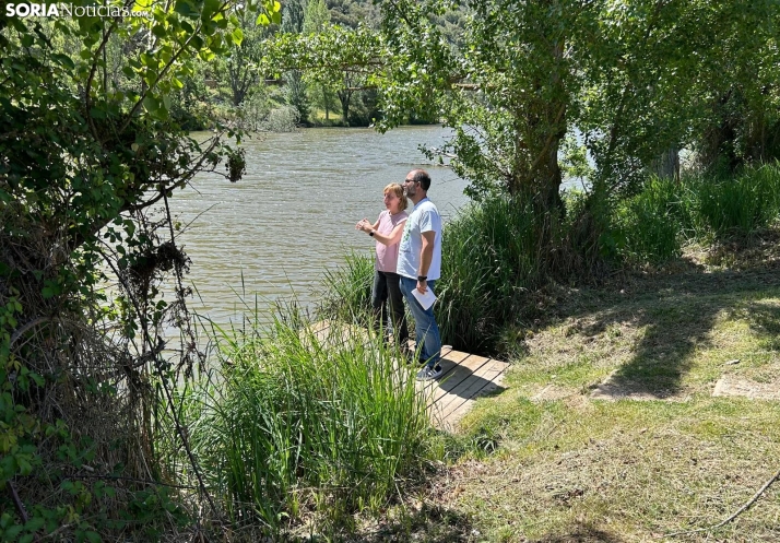 Estas 4 especies sorianas pasan a formar parte de un corredor biológico presente en los 5 continentes