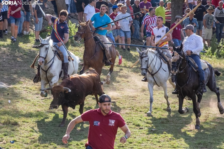 Once novillos en una ‘Comprilla’ que ha empezado de manera apasionante