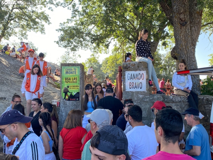 Así hemos vivido el minuto a minuto de La Saca 2025