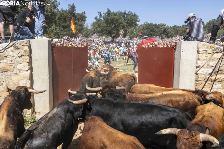 Limpia y espectacular: la salida de La Saca 2025 desata la locura