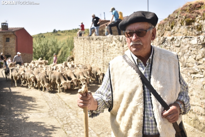 FOTOS | Oncala celebra su pasado trashumante para que perviva su esencia