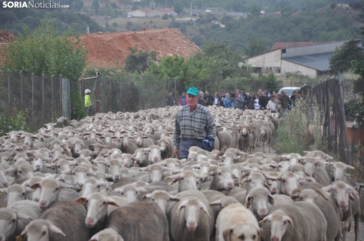 Tres días para ser pastor: así será la decimoquinta fiesta de la trashumancia en Tierras Altas