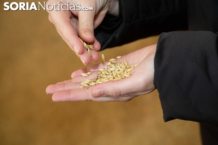 La Junta reafirma su compromiso con el cooperativismo con motivo del Día Internacional de las Cooperativas que se celebra hoy