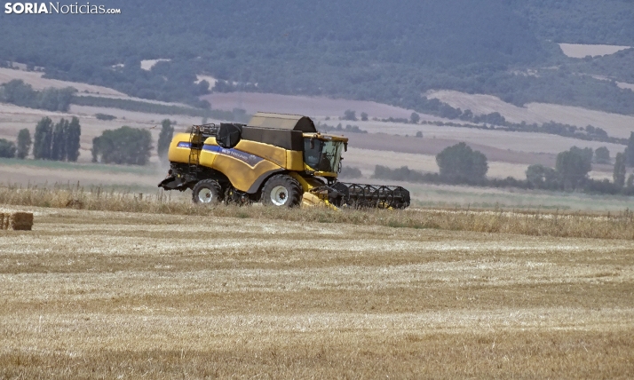 La cosecha de cereal en Soria, en vilo por la meteorología