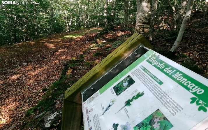 Licitan por más de 830.000 euros la mejora de infraestructuras en los espacios Natura 2000 de Soria