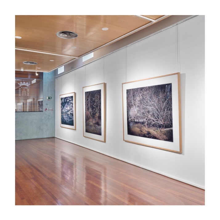 Soria celebra el 150 aniversario de Machado con un congreso internacional y una intensa agenda cultural