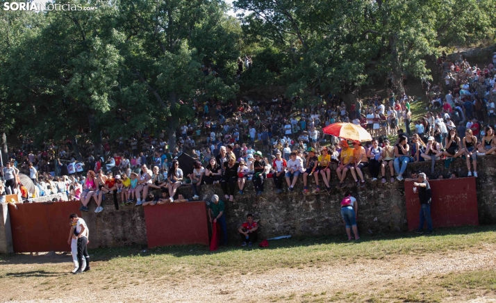 La Junta ve maltrato animal en el Lavalenguas pero no puede acreditar la edad de los menores denunciados