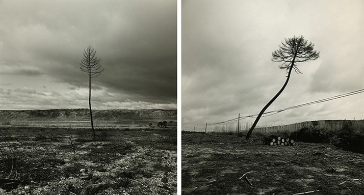 Charlas, concursos, un documental... Así va a recordar Tardelcuende el incendio de Izana