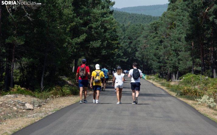 Pinares busca 20 mentes innovadoras para transformar su futuro