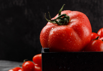 Este pueblo de Soria busca la hortaliza más gorda durante sus fiestas de agosto