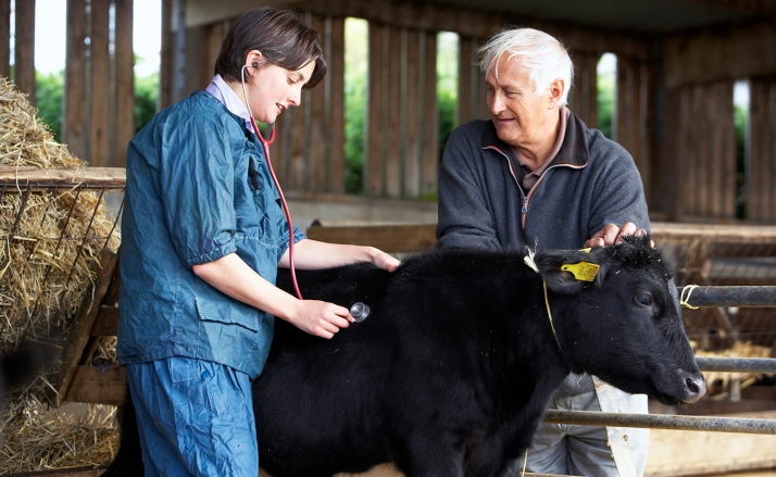 Los veterinarios de Castilla y León apoyan ampliar a 6 años el Grado de Veterinaria