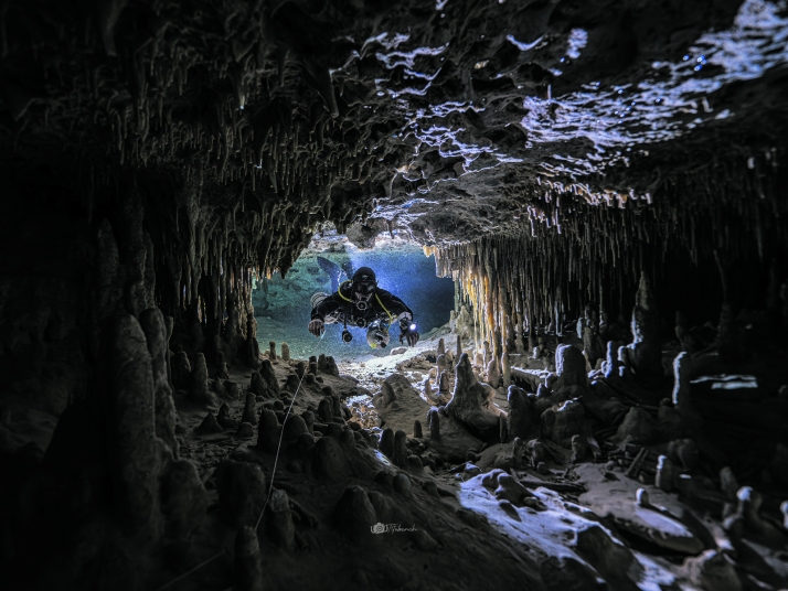 En las profundidades del océano