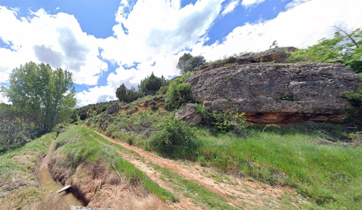 El nuevo bosque de Carrascosa de Abajo: un sumidero de CO2 compatible con la protección de la alondra ricotí