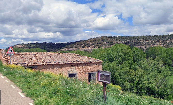 Cedros del Atlas junto a sabinas y encinas: así será el nuevo bosque de 119 hectáreas en Carrascosa de Abajo