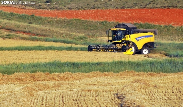 ASAJA Soria estudia medidas contra la prohibición, parcial, de cosecha impuesta por la Junta